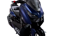 image-removebg-preview (13).png